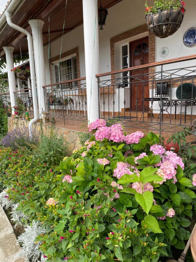 Country Club La Mesteceni Sebeş Eksteriør billede